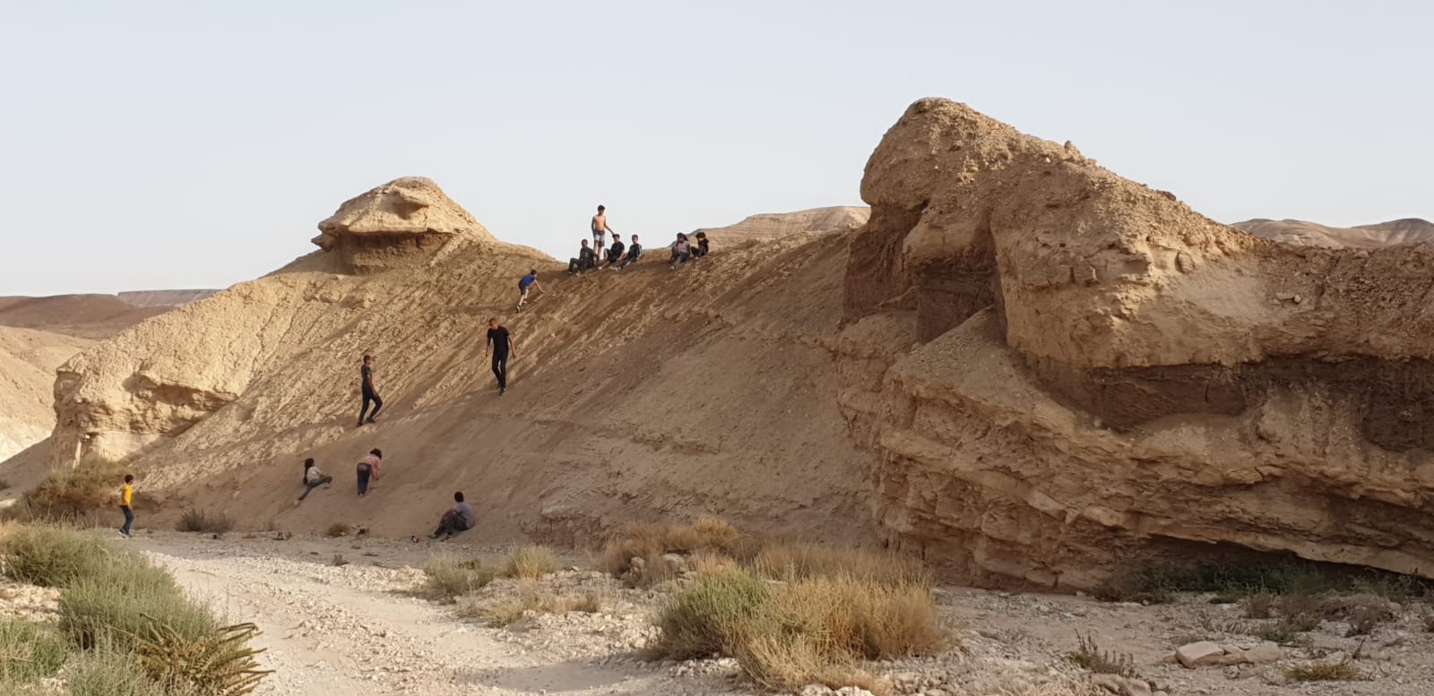 WhatsApp Image 2019-04-13 at 10.30.41 PM.jpeg.jpeg